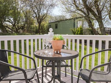 A patio table with a plant pot and wine glasses surrounded by black chairs on a deck with a white railing and a green mobile home in the background at The Maples in Steel Green near Haverigg