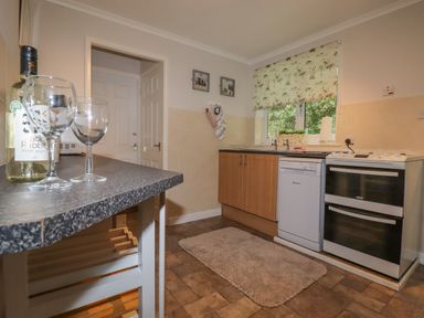 A kitchen with a countertop holding wine bottle and glasses a dishwasher an oven a window with a blind and a rug on the floor at Merryfield Lodge Rosecraddoc near Liskeard