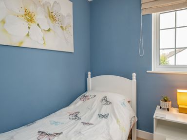 A bedroom with a single white bed with butterfly bedspread beside a nightstand with a lamp and plant and window at Shrimper's Cottage in Tredrizzick near St Minver