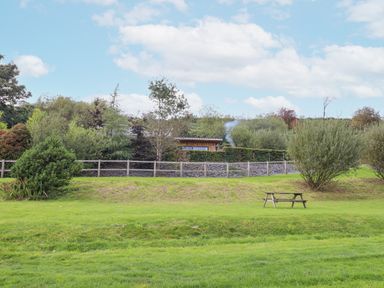 A grassy outdoor area with a wooden picnic table near bushes and trees at Hilltop Lodge in Corwen