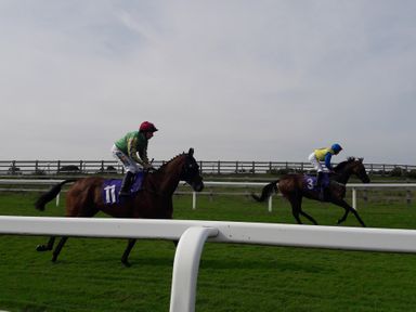 Two jockeys riding racehorses on a grass track with a white rail fence at No.37 in Beverley