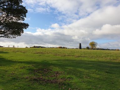 A grassy field with scattered leaves a tree on the left and a tower in the distance at No 37 in Beverley