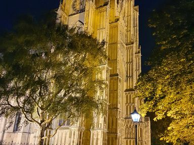 A large illuminated stone building with gothic architecture trees and a street lamp at night