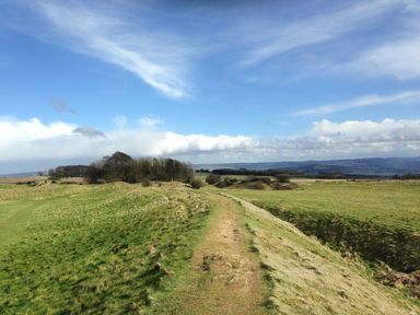 A dirt path running through green fields with trees and hills in the background under a blue sky