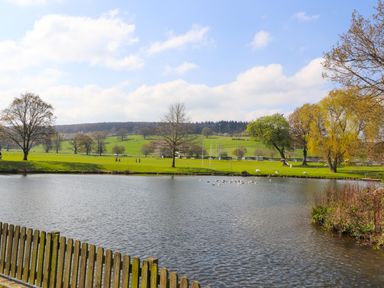 A lake with ducks and a wooden fence in a park with grass and trees at Dove Cottage in Ruthin
