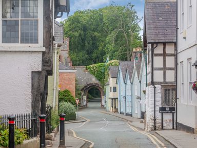 A street with historic buildings and a stone archway at the end surrounded by trees at Dove Cottage in Ruthin