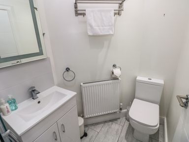 A bathroom with a toilet sink cabinet mirror towel rack and radiator at Teifi Villa in St Dogmaels