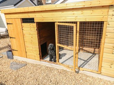A wooden outdoor dog kennel with a black dog inside on a gravel surface at Teifi Villa in St Dogmaels