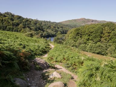 A dirt path with rocks surrounded by green plants and trees with hills and a lake in the background at Dixon Court in Ambleside