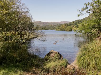 A lake surrounded by trees with ducks swimming on the water at Dixon Court Ambleside