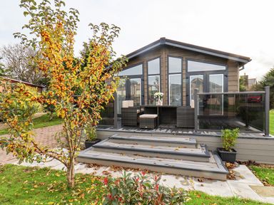 A modern wooden cabin with a deck and outdoor wicker furniture surrounded by plants and trees at Hideaway Lodge in Runswick Bay