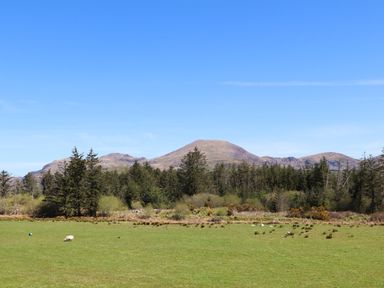 A grassy field with sheep trees and mountains in the background at Hen Beudy in Porthmadog