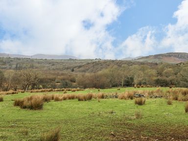 A grassy field with tufts of grass and trees in the background under a partly cloudy sky at Hen Beudy in Porthmadog