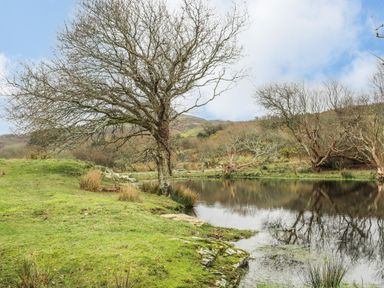 A pond surrounded by grass and leafless trees with hills in the background at Hen Beudy in Porthmadog
