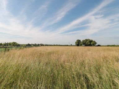A grassy field with trees and a wooden fence under a blue sky at Morgan House in Middlezoy