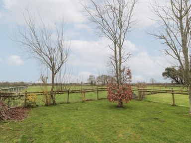 A backyard with grass and leafless trees bordered by a wooden fence at Morgan House in Middlezoy
