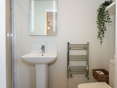A bathroom with a pedestal sink a mirror a heated towel rail a toilet with a basket and a green hanging plant at Aran in Beddgelert