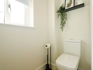 A small bathroom with a white toilet a black toilet paper holder and a wall shelf with a plant and framed picture at Aran in Beddgelert
