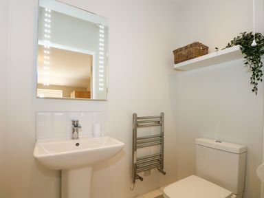 A bathroom with a sink, mirror with lights, towel radiator, toilet, shelf with a basket and plant at Craig y Llan in Beddgelert