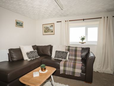 A living room with a brown leather sofa pillows a plaid throw and a wooden coffee table with decor at Cwm Ceiliog Annex Llanaelhaearn near Trefor