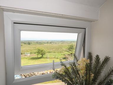 A window open with a view of fields and trees with a plant with yellow flowers inside at Cwm Ceiliog Annex in Llanaelhaearn near Trefor