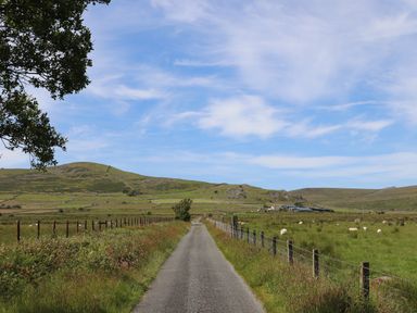 A narrow country road flanked by fences and fields with sheep under a blue sky at Cwm Ceiliog Annex in Llanaelhaearn near Trefor