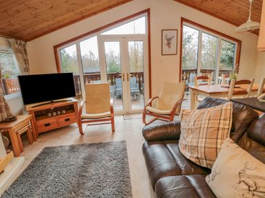 A living room with a brown leather sofa with pillows two beige chairs a wooden TV stand and a dining table with chairs at 4 The Oaks in Swarland
