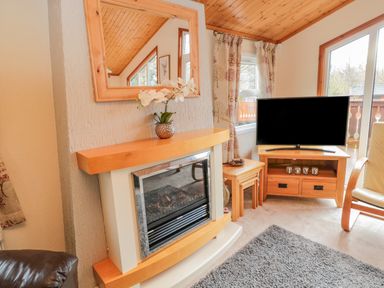 A living room with a fireplace television chair and window at 4 The Oaks in Swarland
