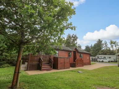 A wooden cabin with steps at the entrance and a tree in front at 4 The Oaks in Swarland