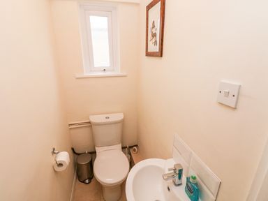 A small bathroom with a toilet and a sink with hand soap at Ty Cwtch in Tenby