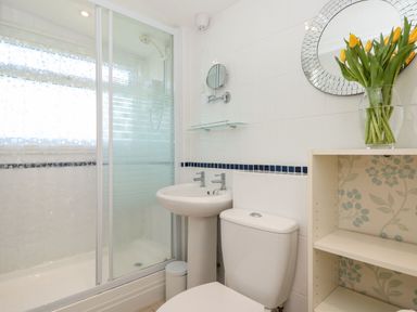 A bathroom with a shower cubicle sink toilet round mirror and shelves with flowers at Wagtails Norton near Dartmouth