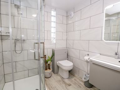 A bathroom with a glass shower enclosure a toilet a plant a sink with a mirror and tiled walls at The Annex in Ulverston