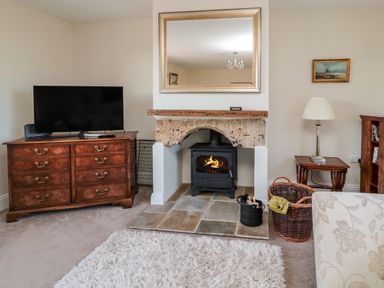 A living room with a wood burning stove fireplace television on a wooden dresser and a lamp on a side table at Thistleyhaugh Cottage in Longhorsley near Longframlington
