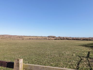 A grassy field with a wooden fence and sheep grazing with trees in the background at Thistleyhaugh Cottage in Longhorsley near Longframlington