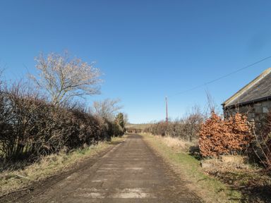 A dirt road with leafless bushes and a stone building on the side at Thistleyhaugh Cottage in Longhorsley near Longframlington