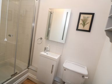A bathroom with a shower enclosure a sink with a cabinet a toilet and a framed plant picture on the wall at Trevedran Cottage in St Buryan