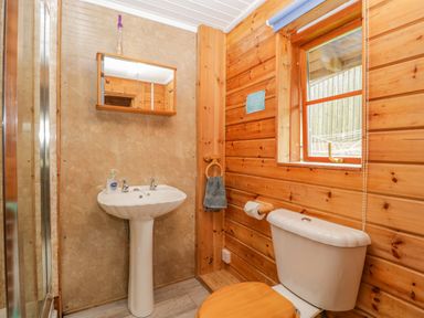 A bathroom with a pedestal sink mirror cabinet shower and toilet at Orchard Lodge in Hockworthy near Sampford Peverell Devon