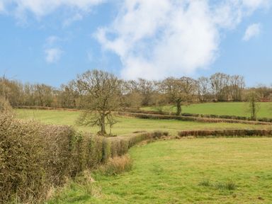 A field with grassy land trees and hedges under a partly cloudy sky at Orchard Lodge in Hockworthy near Sampford Peverell Devon