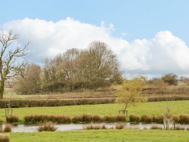 A pond with grass and trees in a rural field at Orchard Lodge in Hockworthy near Sampford Peverell Devon