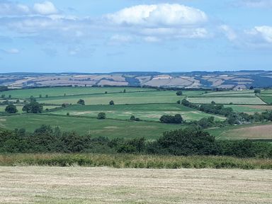 A landscape with fields and trees under a blue sky at Orchard Lodge in Hockworthy near Sampford Peverell Devon