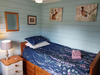 A bedroom with a single bed with blue floral bedding a bedside table with a lamp and artwork on blue wooden walls at Orchard Lodge in Hockworthy near Sampford Peverell Devon