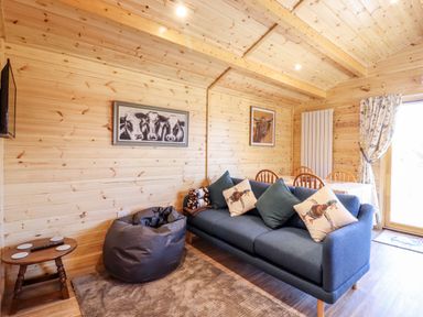 A wooden room with a blue sofa with animal print cushions a bean bag a small table and a dining table with chairs at Clover Lodge Theberton near Leiston