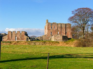 Ruins of an old stone castle with a large tree on the right and grassy field in the foreground at Castle Keep in Norham