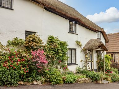 A white cottage with a thatched roof and flowering plants along the front at Rose Cottage in Holcombe in Teignmouth