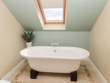 A bathroom with a freestanding bathtub under a skylight and a plant in a white pot at Calm Skies in Scremerston near Berwick-Upon-Tweed