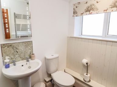 A bathroom with a toilet and sink under a window with a patterned blind at Healey Farm Cottage in Rothbury