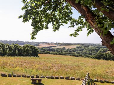 A countryside field with a stone bench and a tree in the foreground at Polurrian House in Cury near Mullion