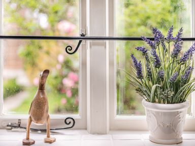A wooden duck figure and a white pot with purple flowers on a windowsill at Smugglers Cottage in Christchurch