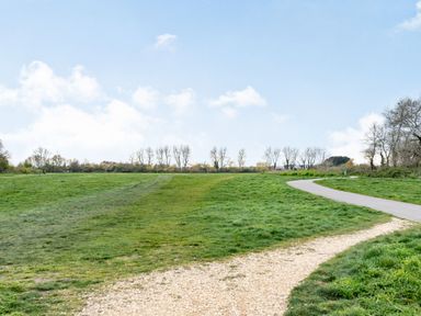 A grassy field with two paths and trees in the background at Smugglers Cottage in Christchurch