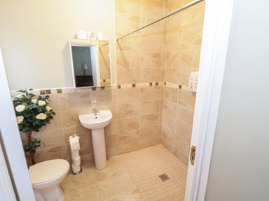 A bathroom with a toilet sink mirror shower area and plant at The Waters Edge in Boyle County Roscommon